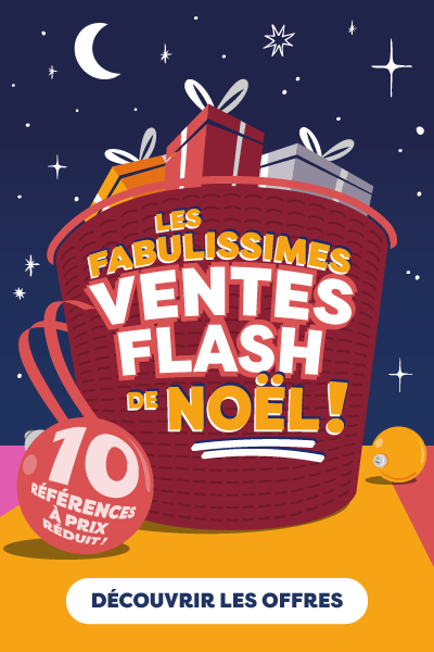 Vente flash Noël