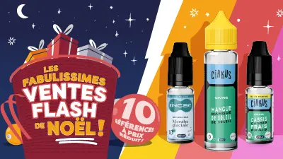 VENTE FLASH DE NOËL : 10 références VDLV déstockées